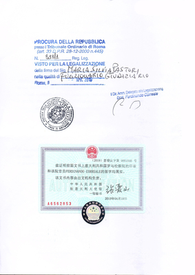 意大利大使馆证明